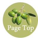 PageTop