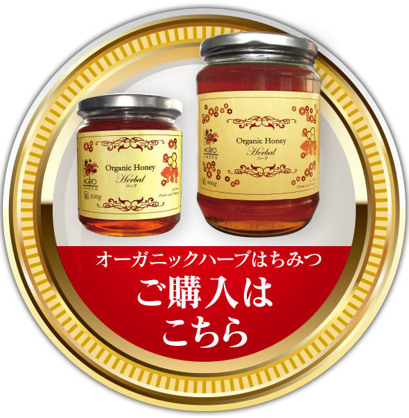 ご購入はこちら