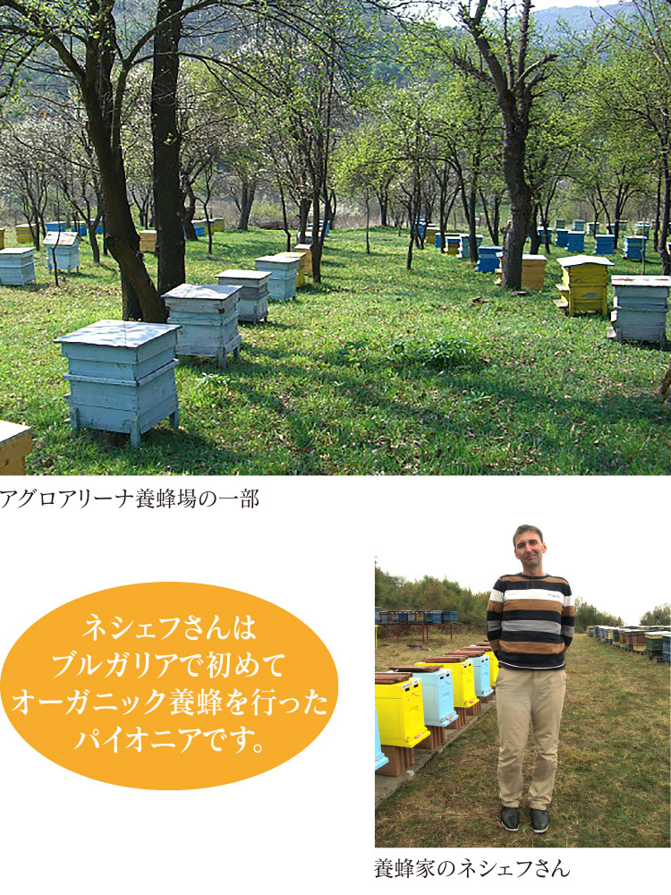 アグロアリーナ養蜂場の一部 養蜂家のネシェフさん