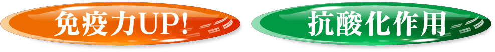 免疫力UP! 抗酸化作用