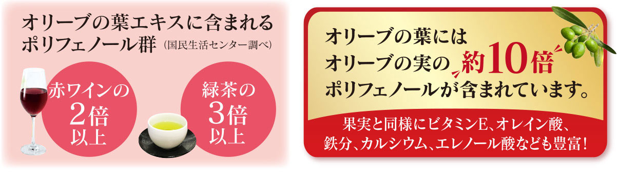 オリーブの葉エキスに含まれるポリフェノール群